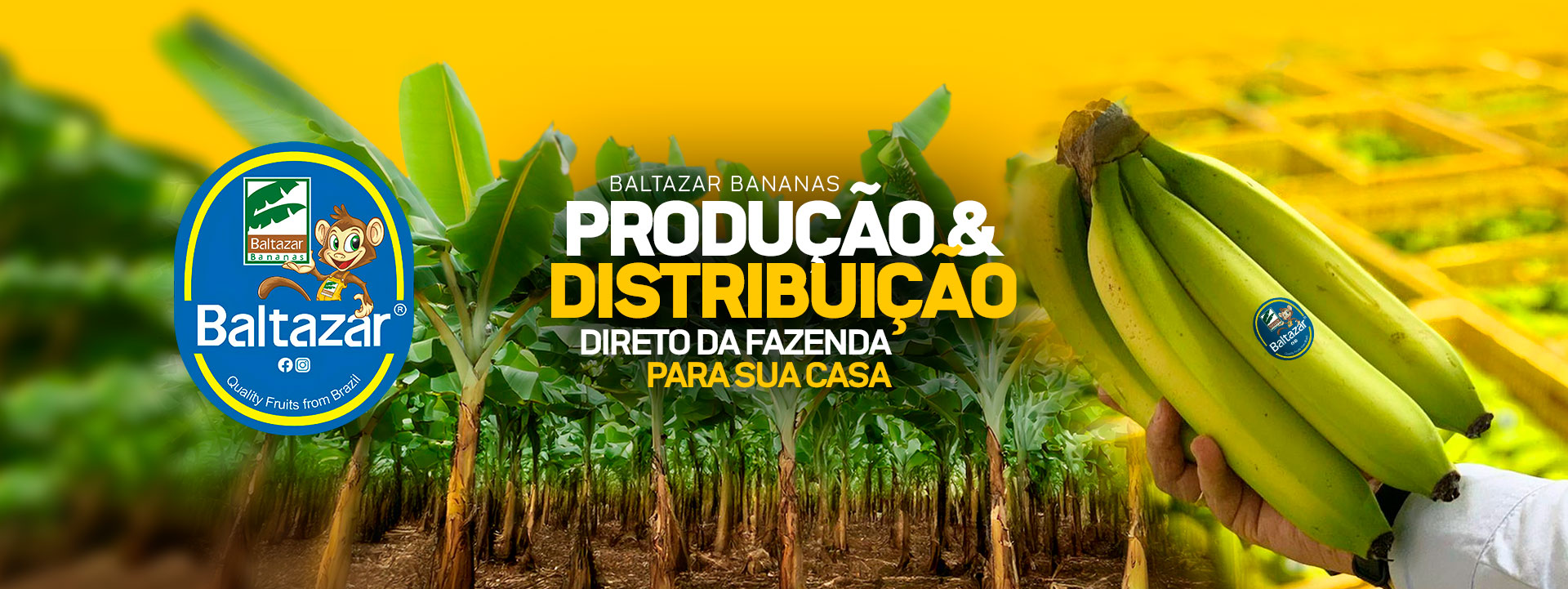 Baltazar Agronegócios | Produção e Distribuição de Frutas