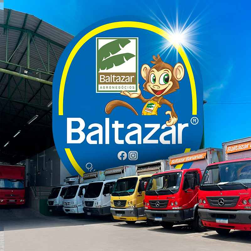 Baltazar Agronegócios | Produção e Distribuição de Frutas